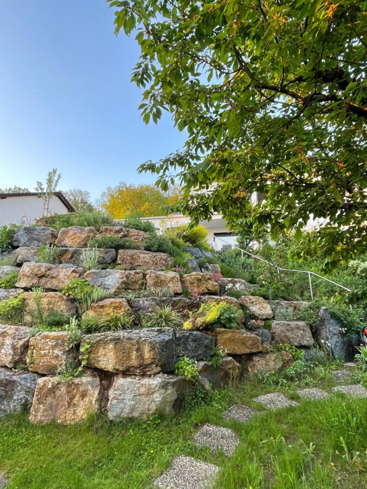 Ferienwohnung Sonnenschein Фульда Экстерьер фото